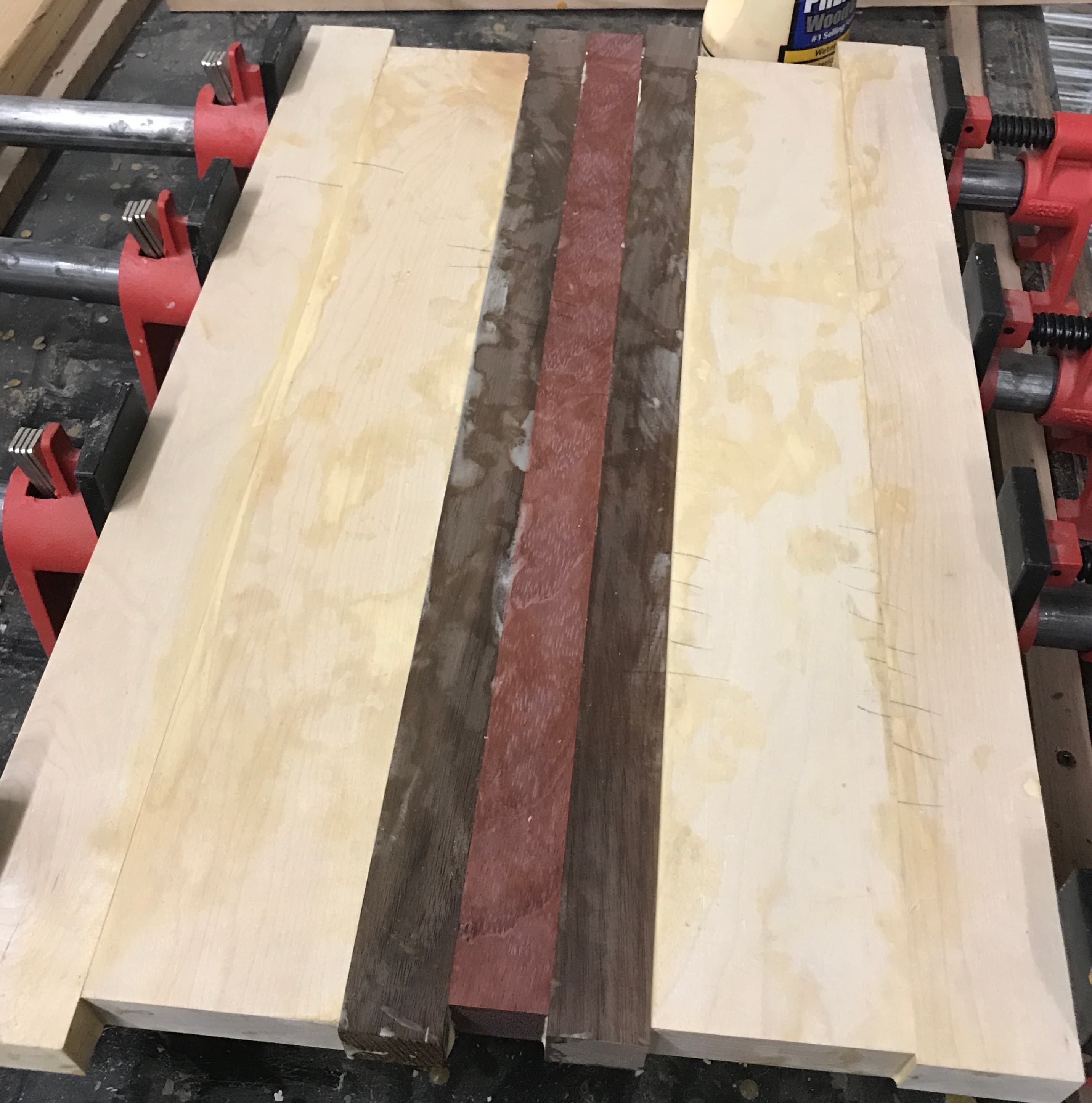 Cutting board glue-up in clamps — maple, walnut, and purple heart strips laid out on the workbench